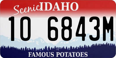 ID license plate 1O6843M
