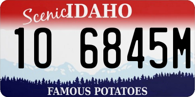 ID license plate 1O6845M