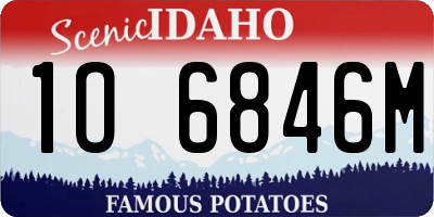 ID license plate 1O6846M