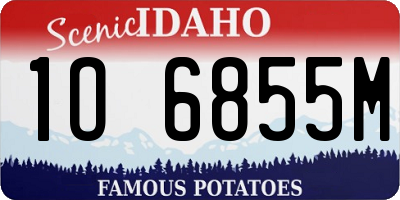 ID license plate 1O6855M