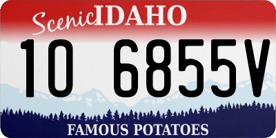ID license plate 1O6855V