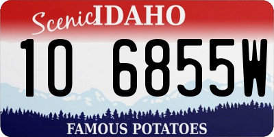 ID license plate 1O6855W