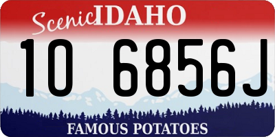 ID license plate 1O6856J
