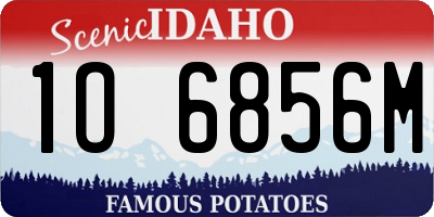ID license plate 1O6856M