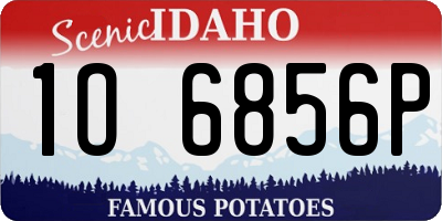 ID license plate 1O6856P