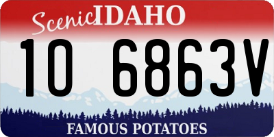 ID license plate 1O6863V