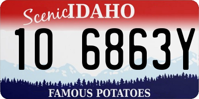 ID license plate 1O6863Y