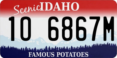 ID license plate 1O6867M