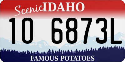 ID license plate 1O6873L