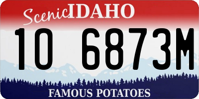 ID license plate 1O6873M