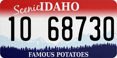 ID license plate 1O6873O