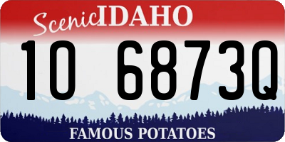 ID license plate 1O6873Q