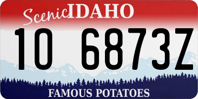 ID license plate 1O6873Z