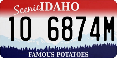 ID license plate 1O6874M