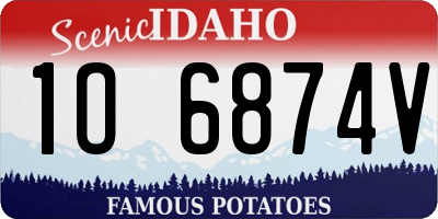 ID license plate 1O6874V