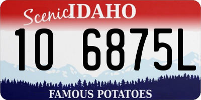 ID license plate 1O6875L
