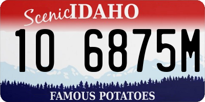 ID license plate 1O6875M