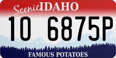 ID license plate 1O6875P