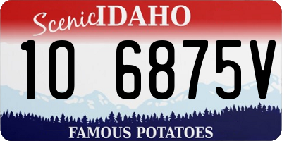 ID license plate 1O6875V