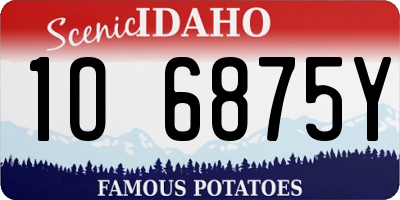 ID license plate 1O6875Y