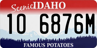 ID license plate 1O6876M