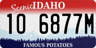 ID license plate 1O6877M