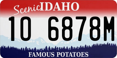 ID license plate 1O6878M