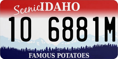 ID license plate 1O6881M
