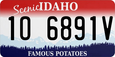 ID license plate 1O6891V