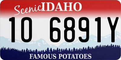 ID license plate 1O6891Y