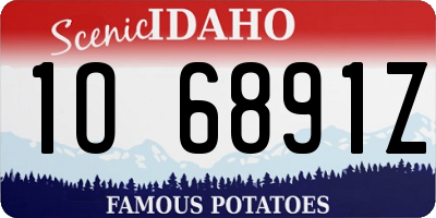 ID license plate 1O6891Z