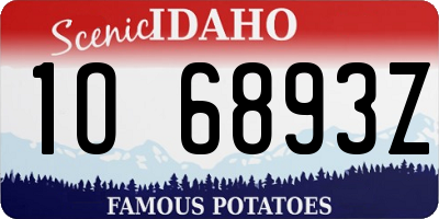 ID license plate 1O6893Z