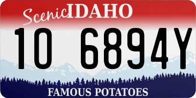 ID license plate 1O6894Y