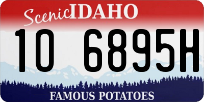 ID license plate 1O6895H