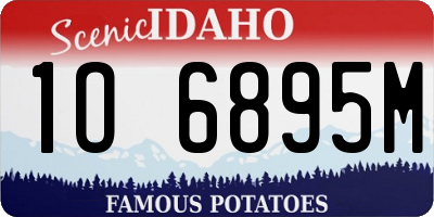 ID license plate 1O6895M
