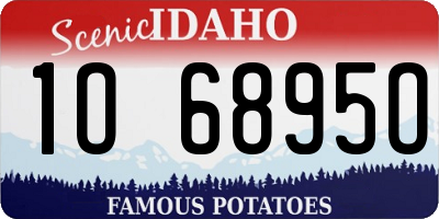 ID license plate 1O6895O