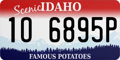 ID license plate 1O6895P
