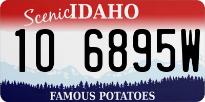 ID license plate 1O6895W