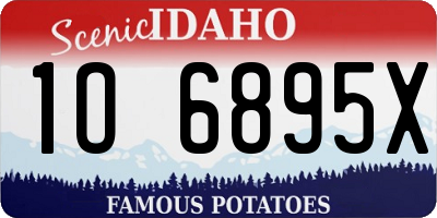 ID license plate 1O6895X