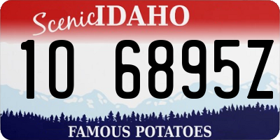 ID license plate 1O6895Z