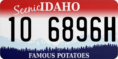 ID license plate 1O6896H