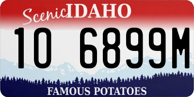 ID license plate 1O6899M