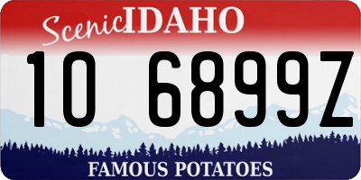 ID license plate 1O6899Z