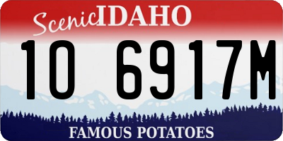 ID license plate 1O6917M