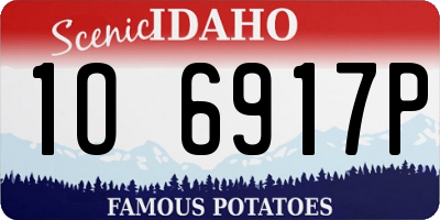 ID license plate 1O6917P