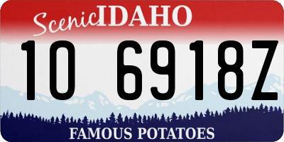 ID license plate 1O6918Z