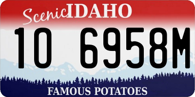 ID license plate 1O6958M