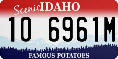 ID license plate 1O6961M