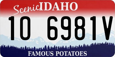 ID license plate 1O6981V