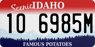 ID license plate 1O6985M